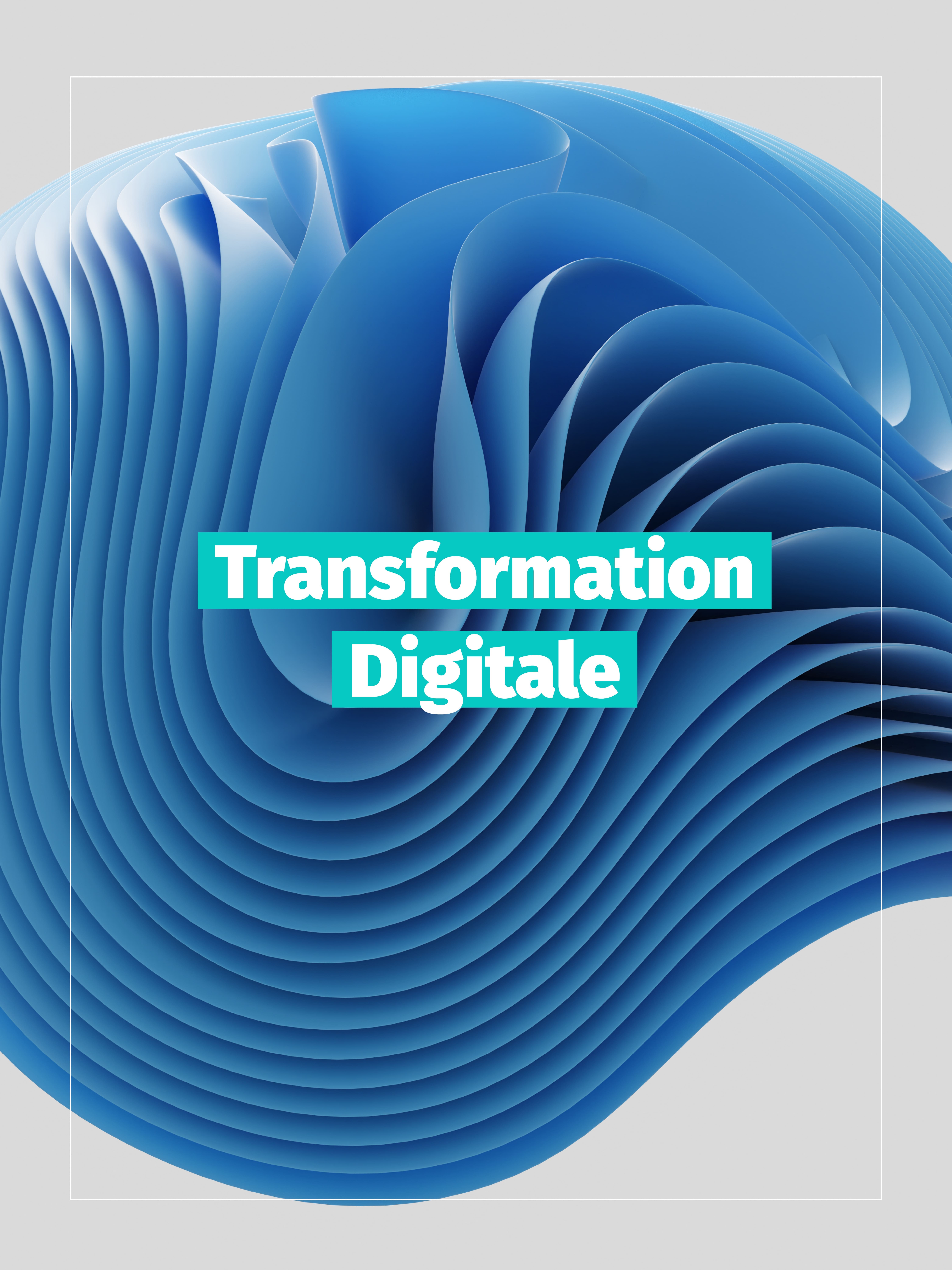 aide accompagnement transformation digitale