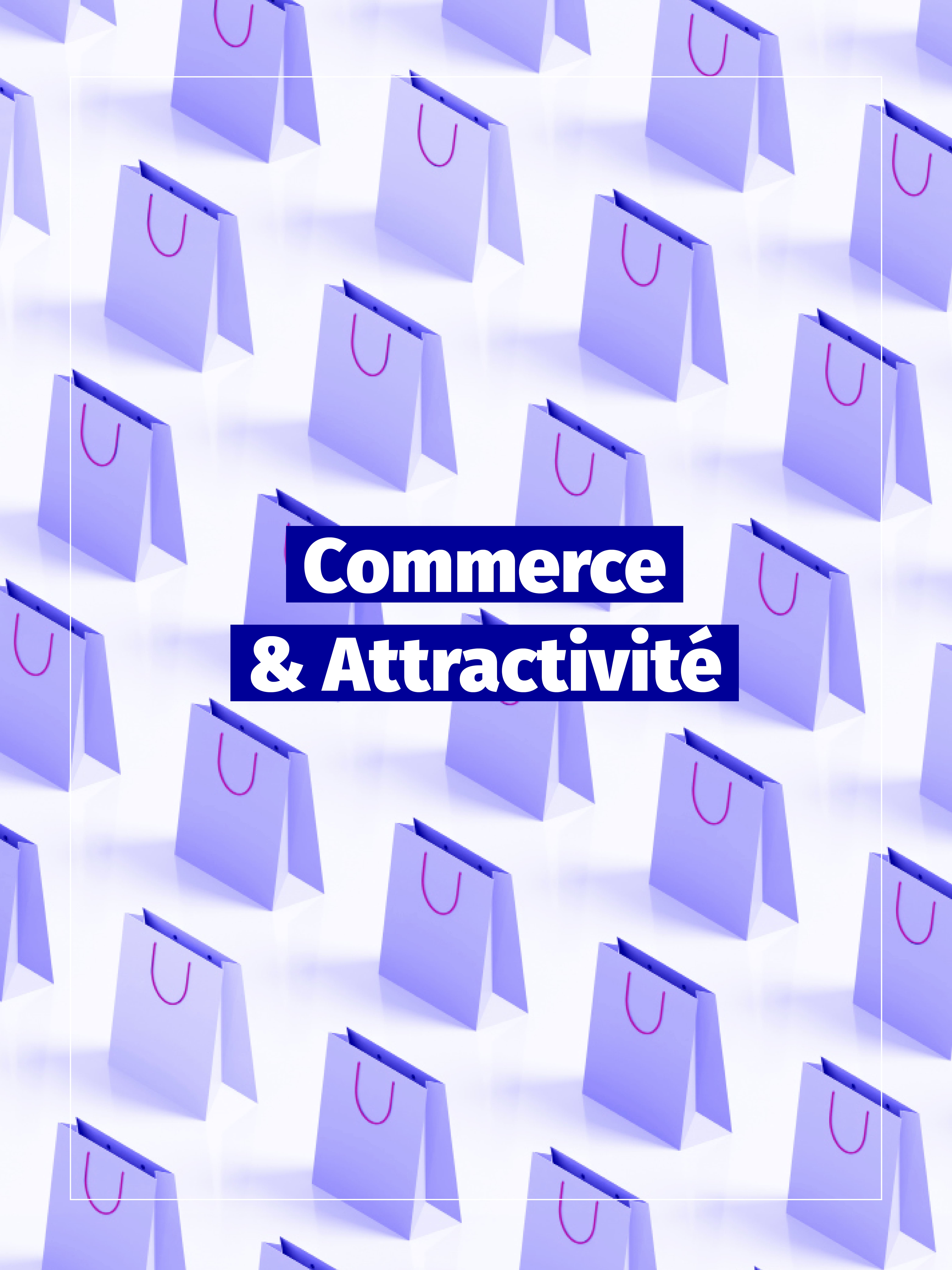 conseil accompagnement commerce attractivite