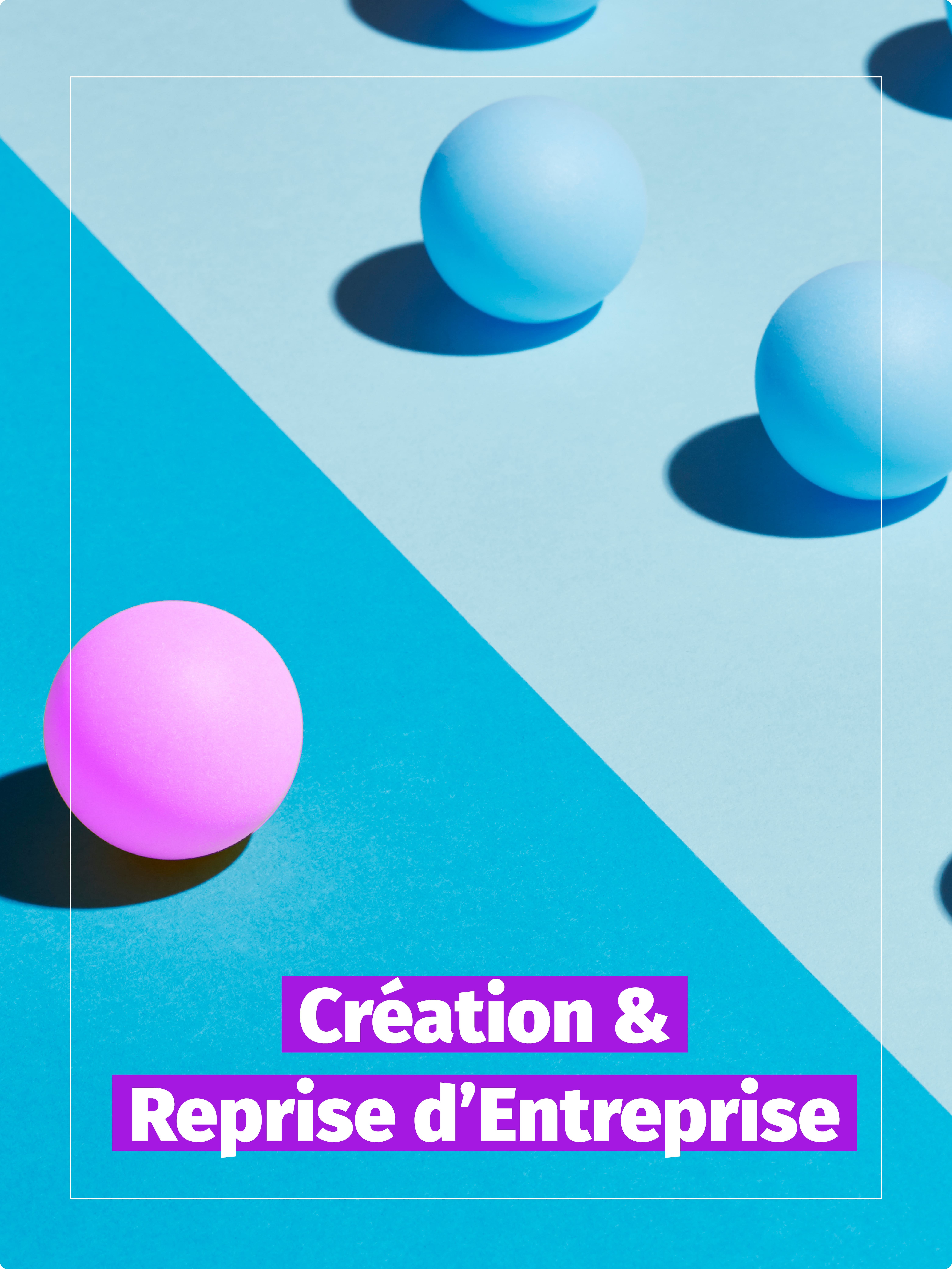 conseil accompagnement creation reprise entreprise