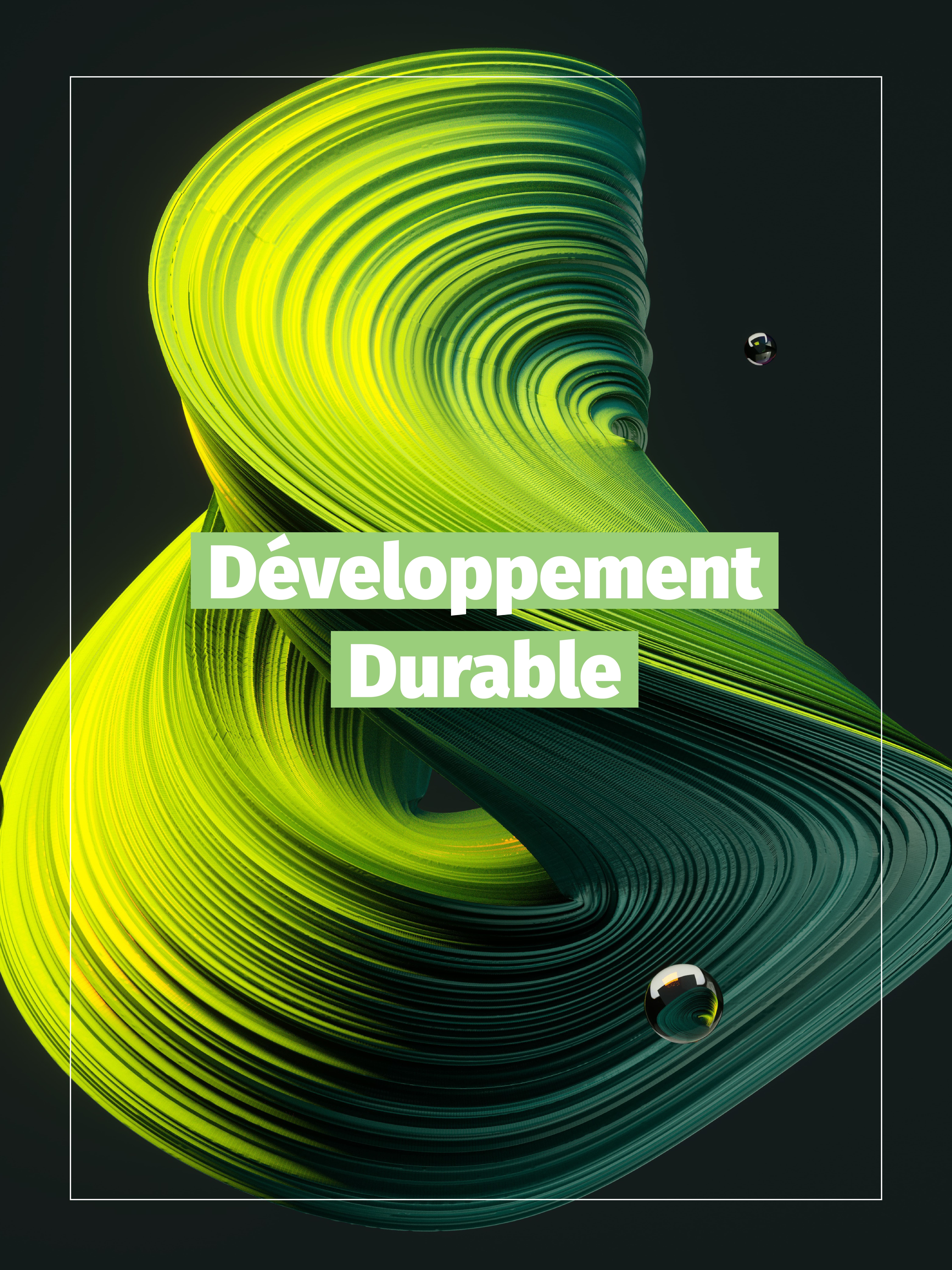conseil accompagnement developpement durable