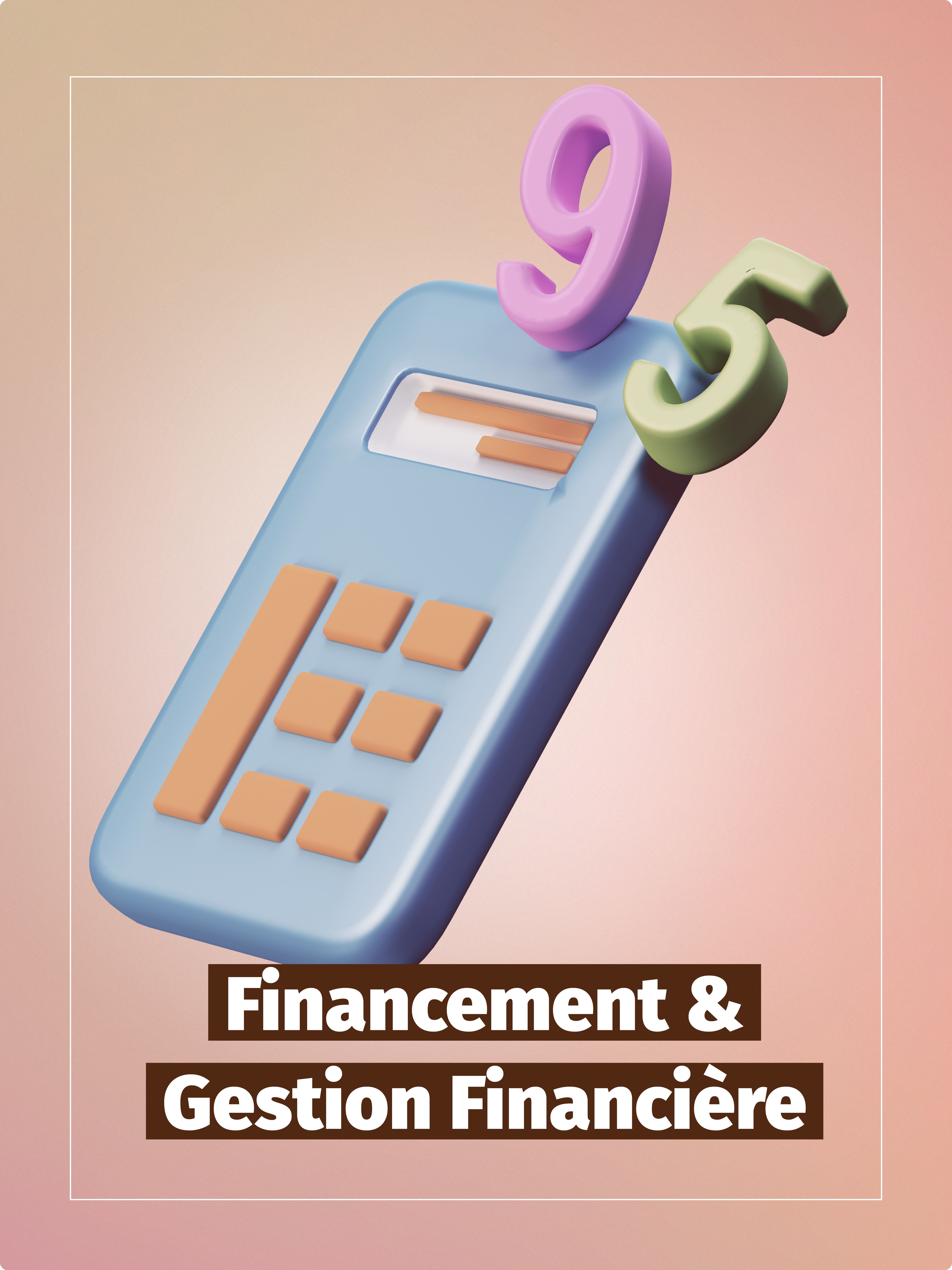 conseil accompagnement financement gestion financiere