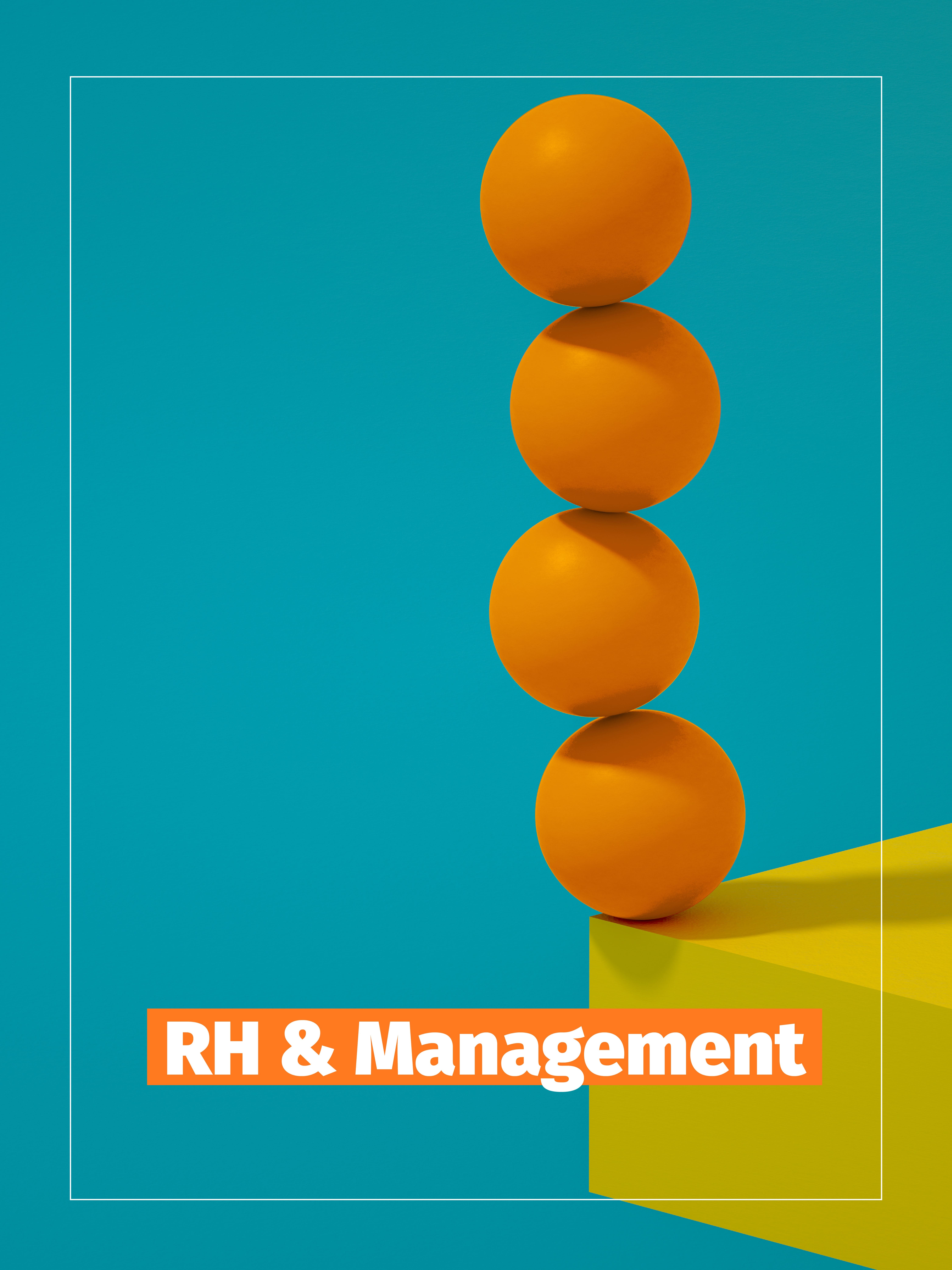 conseil accompagnement rh management