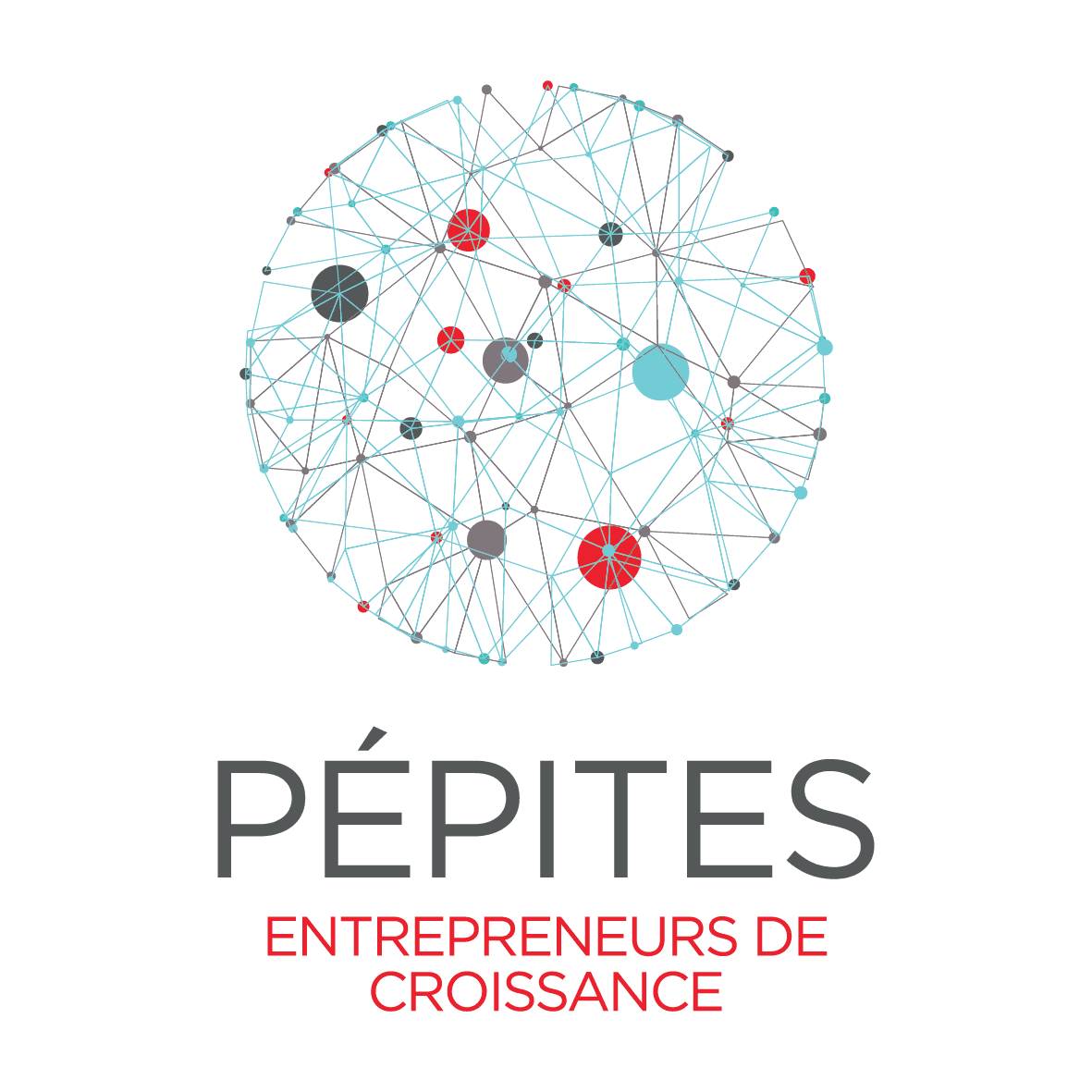 programme pepite accompagnement entreprises pme