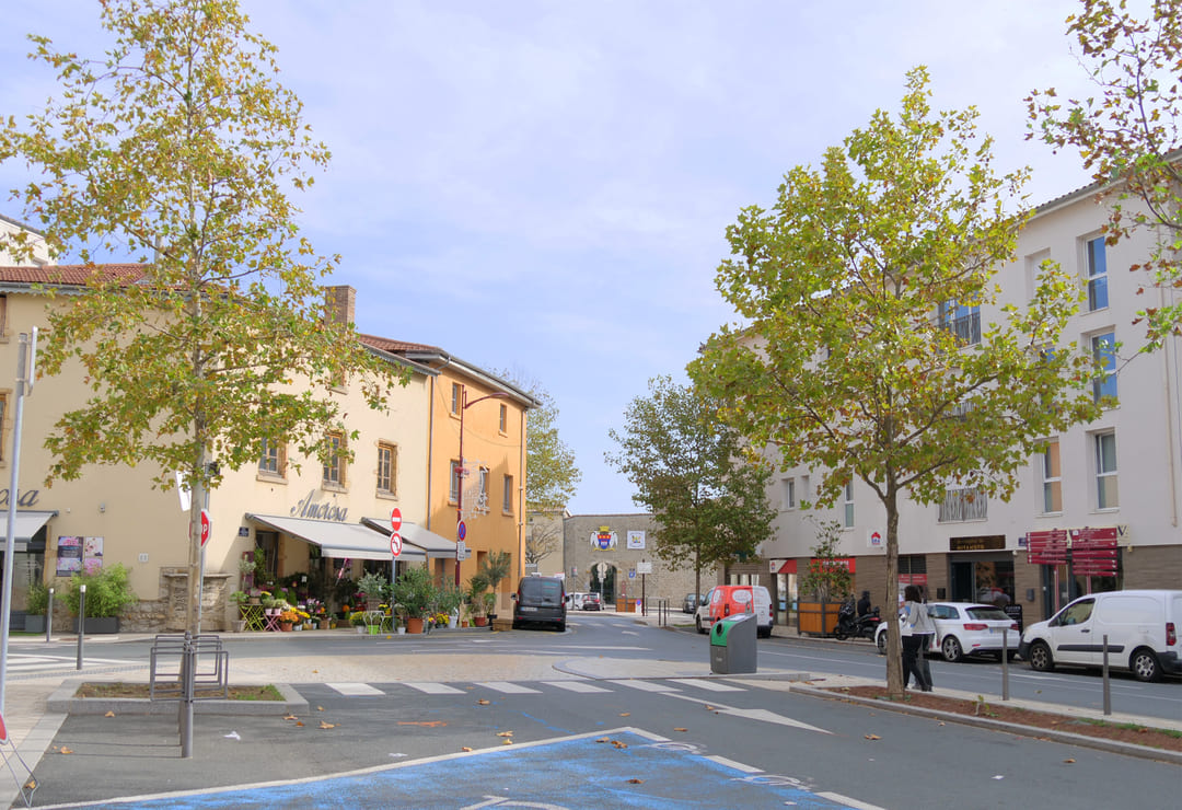 irigny collectivite aide projet implantation commerciale