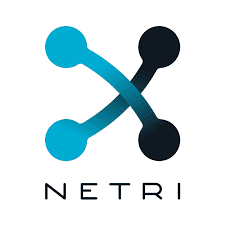 logo netri accompagnement strategie entreprise