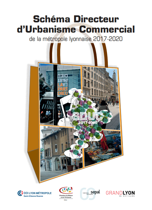 schema directeur urbanisme commercial lyon