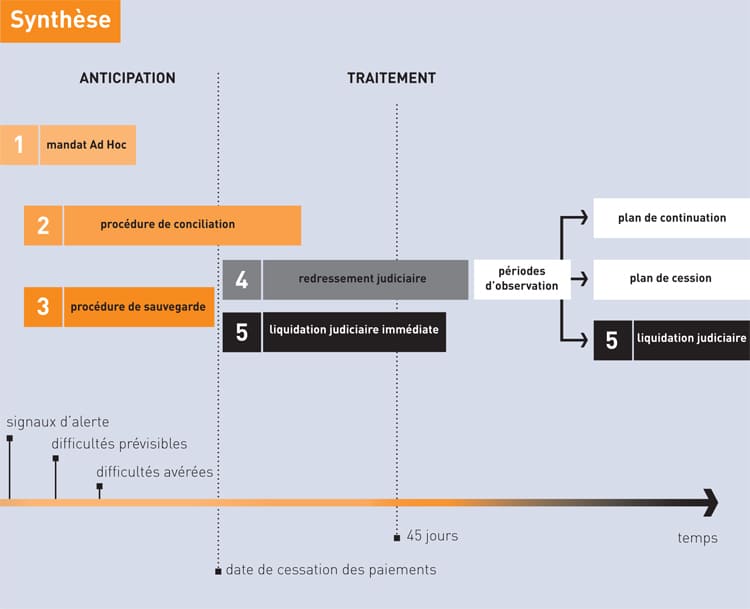 schema procedures judiciaires