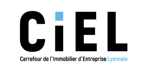 carrefour immobilier d entreprise lyonnais