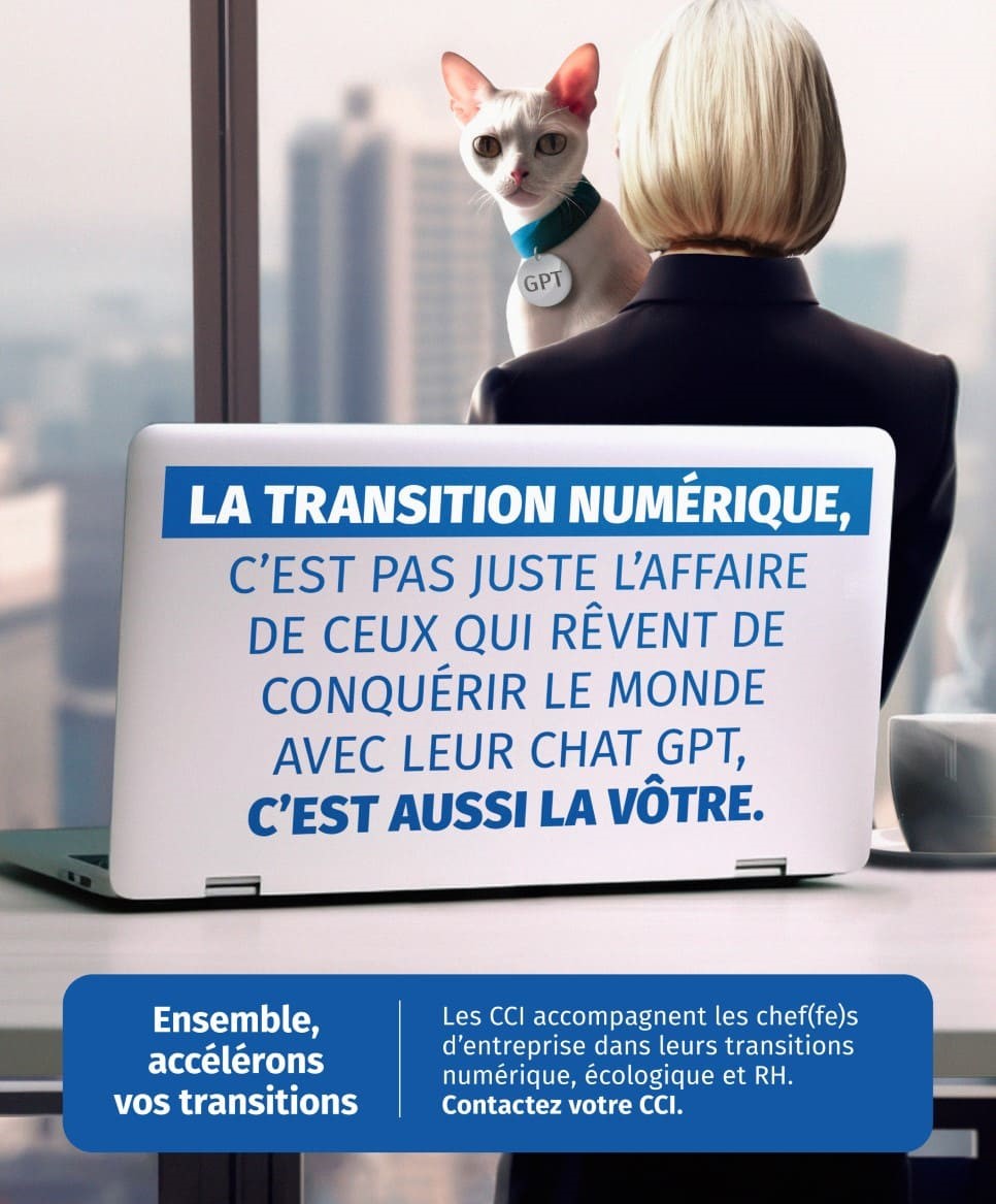 cci conseil transition numerique