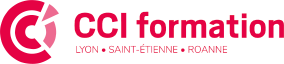 cci formation professionnelle
