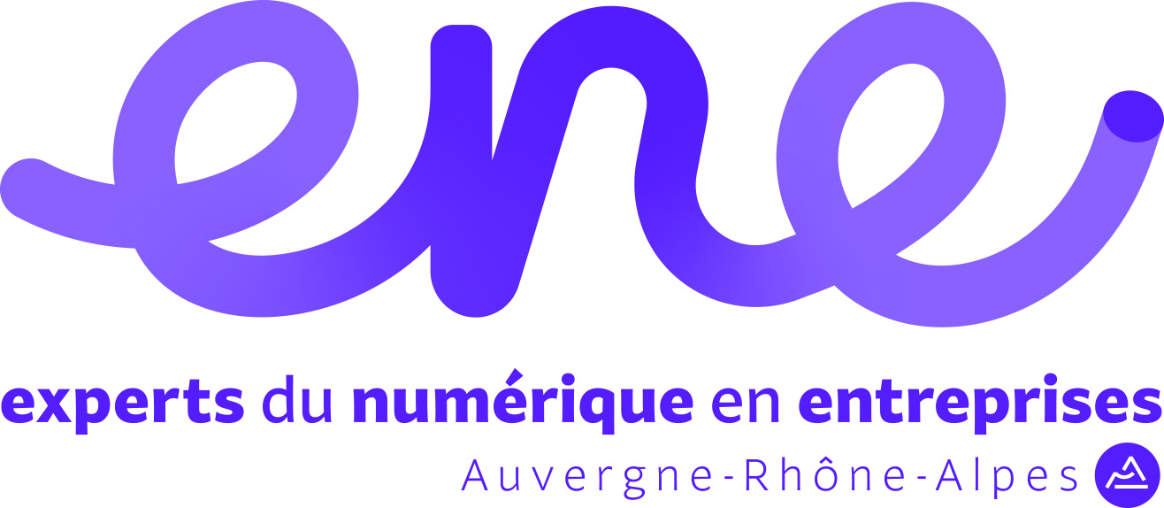 L'ENE - Experts du Numérique en Entreprises | CCI Lyon Métropole