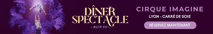 diner spectacle lyon carre soie