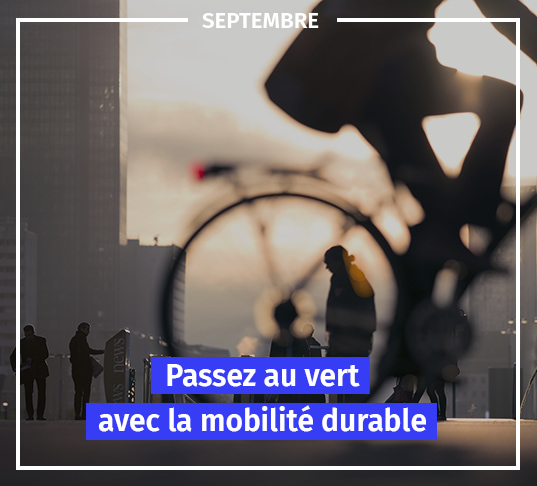 newsletter cci mobilite durable