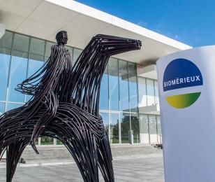 biomerieux accompagnement developpement international