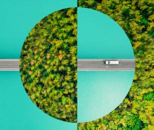 decarbonation deter