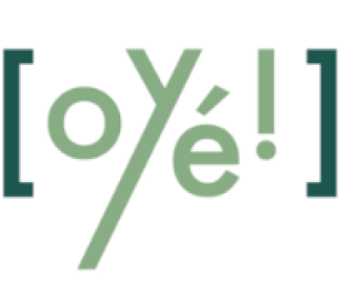 oye participation citoyenne lyon