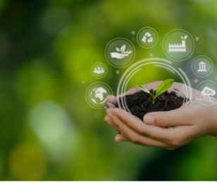 rse portail entreprises