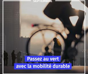 newsletter cci mobilite durable