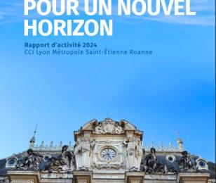 rapport activité cci lyon 2024