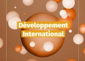 conseil accompagnement developpement international