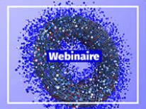webinaires cci lyon conseil aide entreprises rhone loire