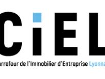 carrefour immobilier d entreprise lyonnais