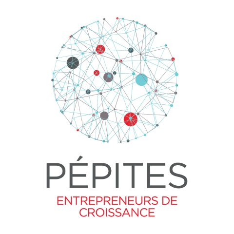 programme pepite accompagnement entreprises pme