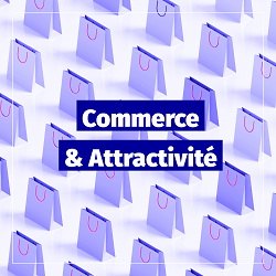 conseil aide commerce