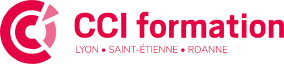 cci formation professionnelle