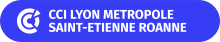 cci lyon saint etienne roanne