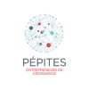 PROGRAMME PEPITES
