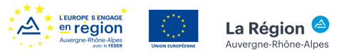 logo feder region aura