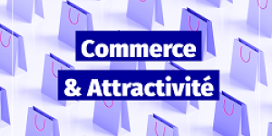 conseil aide commerce