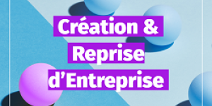 conseil aide creation entreprise