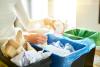 gestion-des-dechets-entreprise